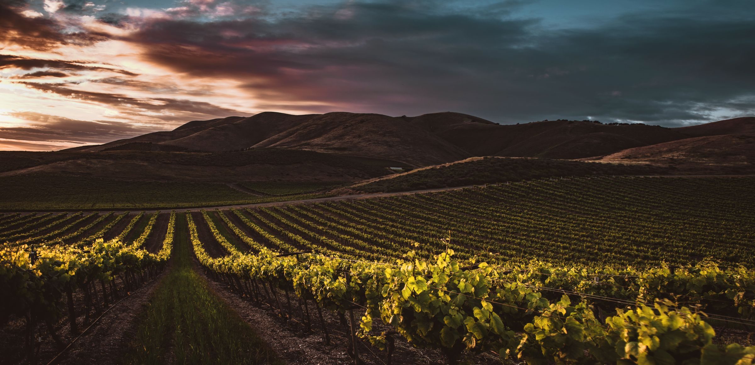Cape Winelands (Franschhoek)