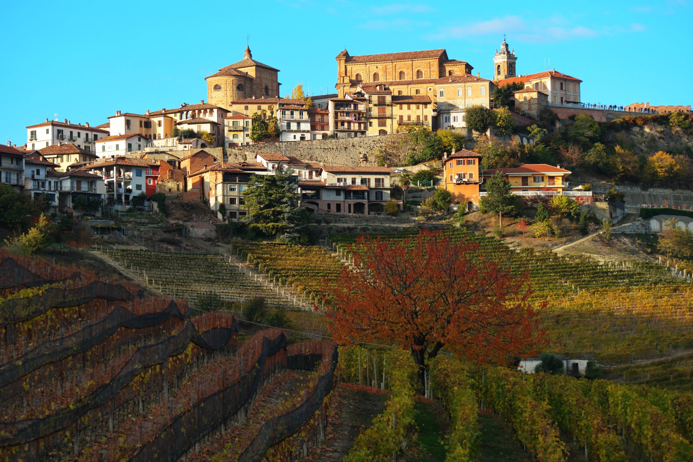 Piedmont