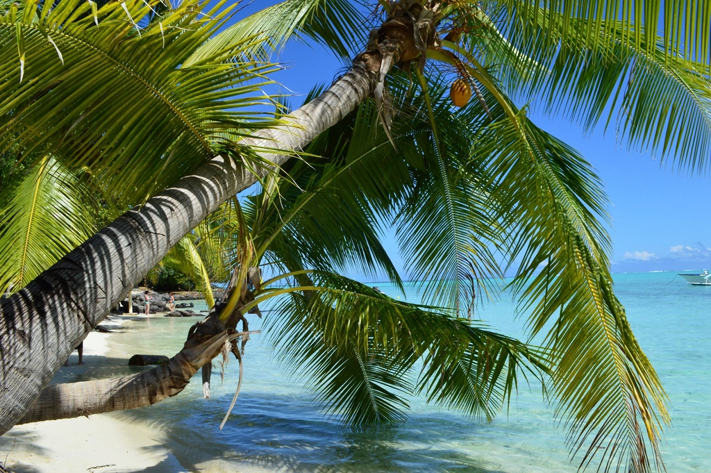 St. Barthelemy