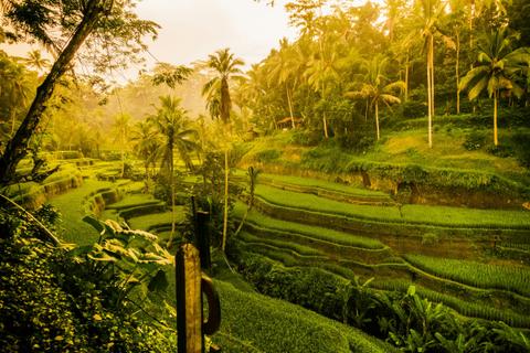 Wellness destinations