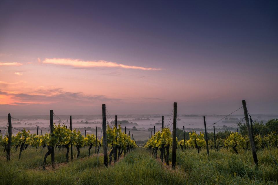 Bordeaux & Saint-Émilion