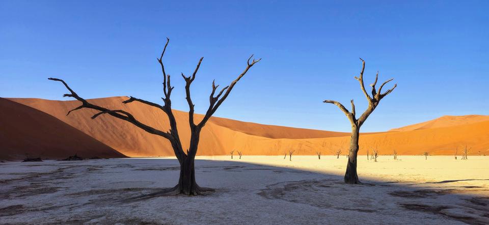 Sossusvlei & Damaraland