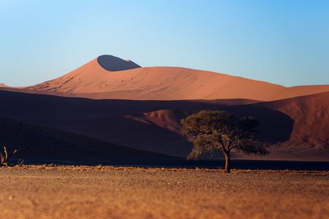 Desert destinations