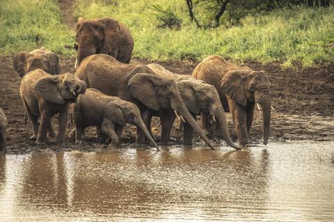 The Okavango Delta