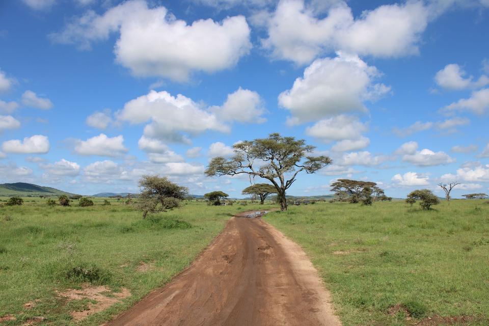 Serengeti