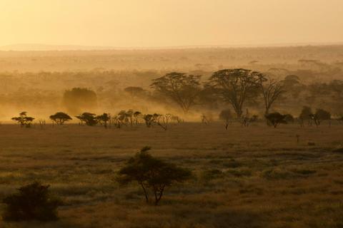 Safari destinations