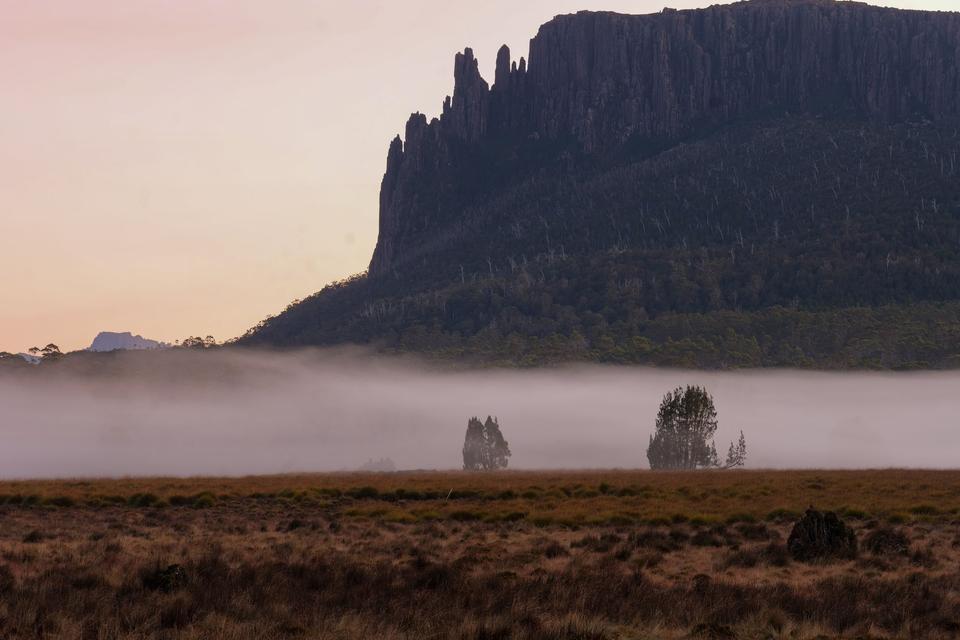 Tasmania